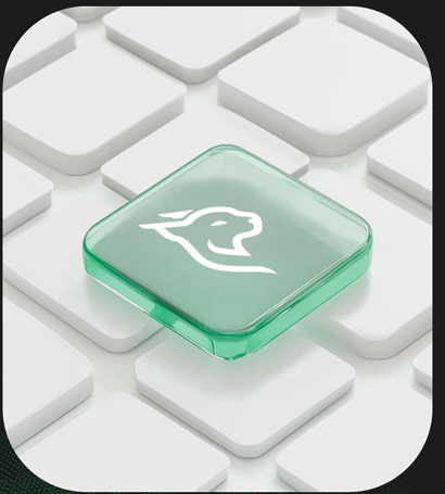 Equipo LYNX trabajando en estrategia